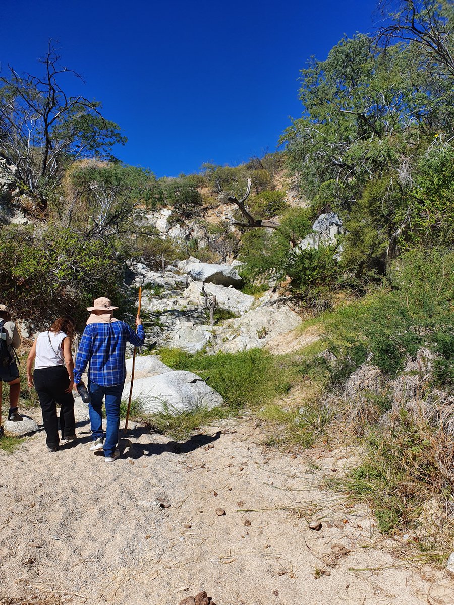 Coincidimos con diversas organizaciones e instituciones para intercambiar experiencias y proyectos de seguridad hídrica en La Paz, además de conocer prácticas que demuestran cómo las soluciones basadas en la naturaleza (SbN) contribuyen a reducir riesgos hídricos en la región.