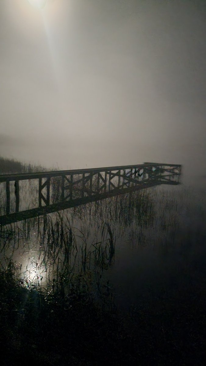 fermanaghsc's tweet photo. @barrabest weather #foggy #Fermanagh Lakelands https://t.co/nJUCMjmKNo
