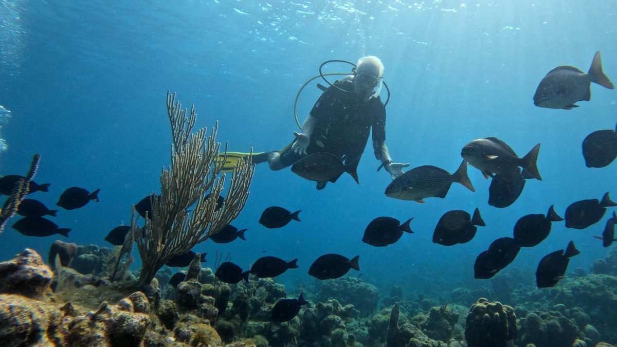 Big change starts with local wins! 🪸 

The 2024 HRI Report Card shows the MAR's health improving for the first time in 5 years, thanks to community-led conservation. We can't stop now! 

Learn more 👉 hubs.la/Q02XY_bx0
