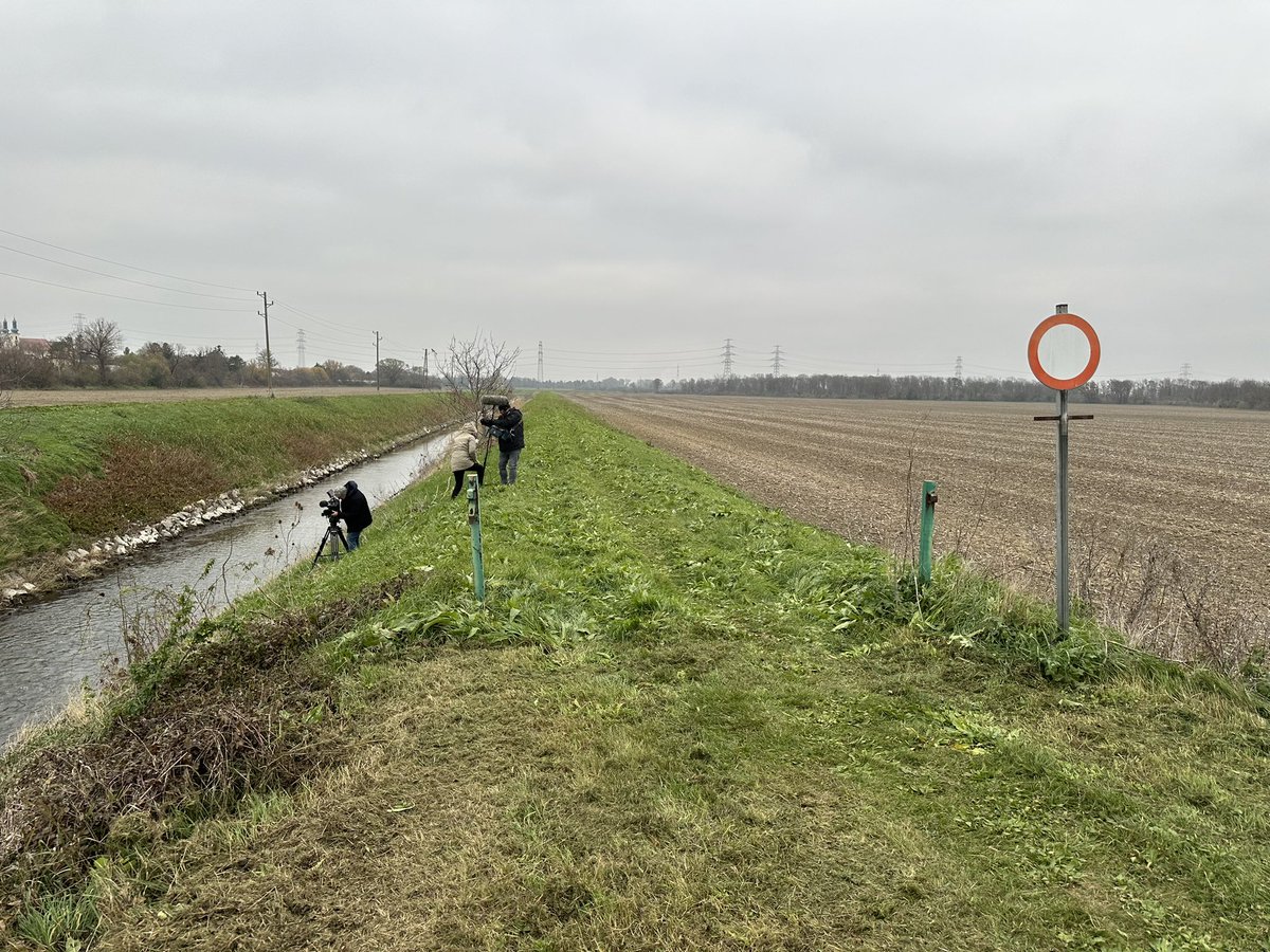 Tag 2 der ORF Dreharbeiten zum Thema Flüsse. Heute haben wir südlich von gefilmt. Nur weil was fliesst, ist es noch lange kein Fluss. Sowas ist die Normalität in Mitteleuropa, verstärkt Hochwässer und Trockenschäden. 25.11. um 21:10 ORF 2