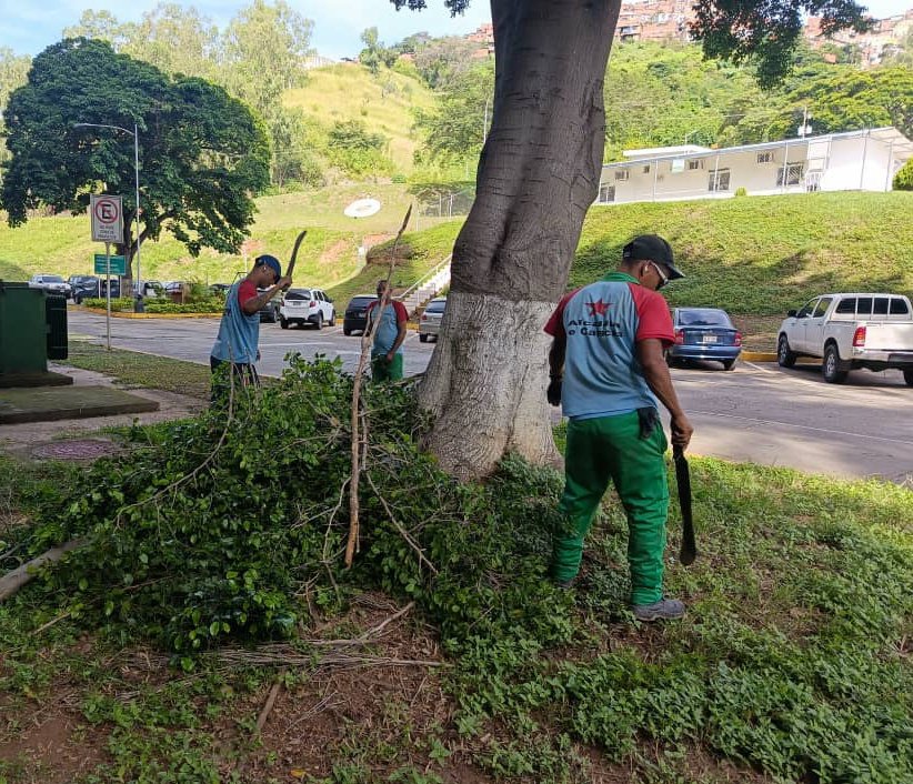 DIGESALUDFANB tweet media