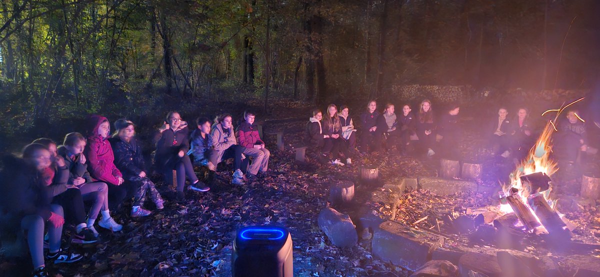 Marshmallows by the fire