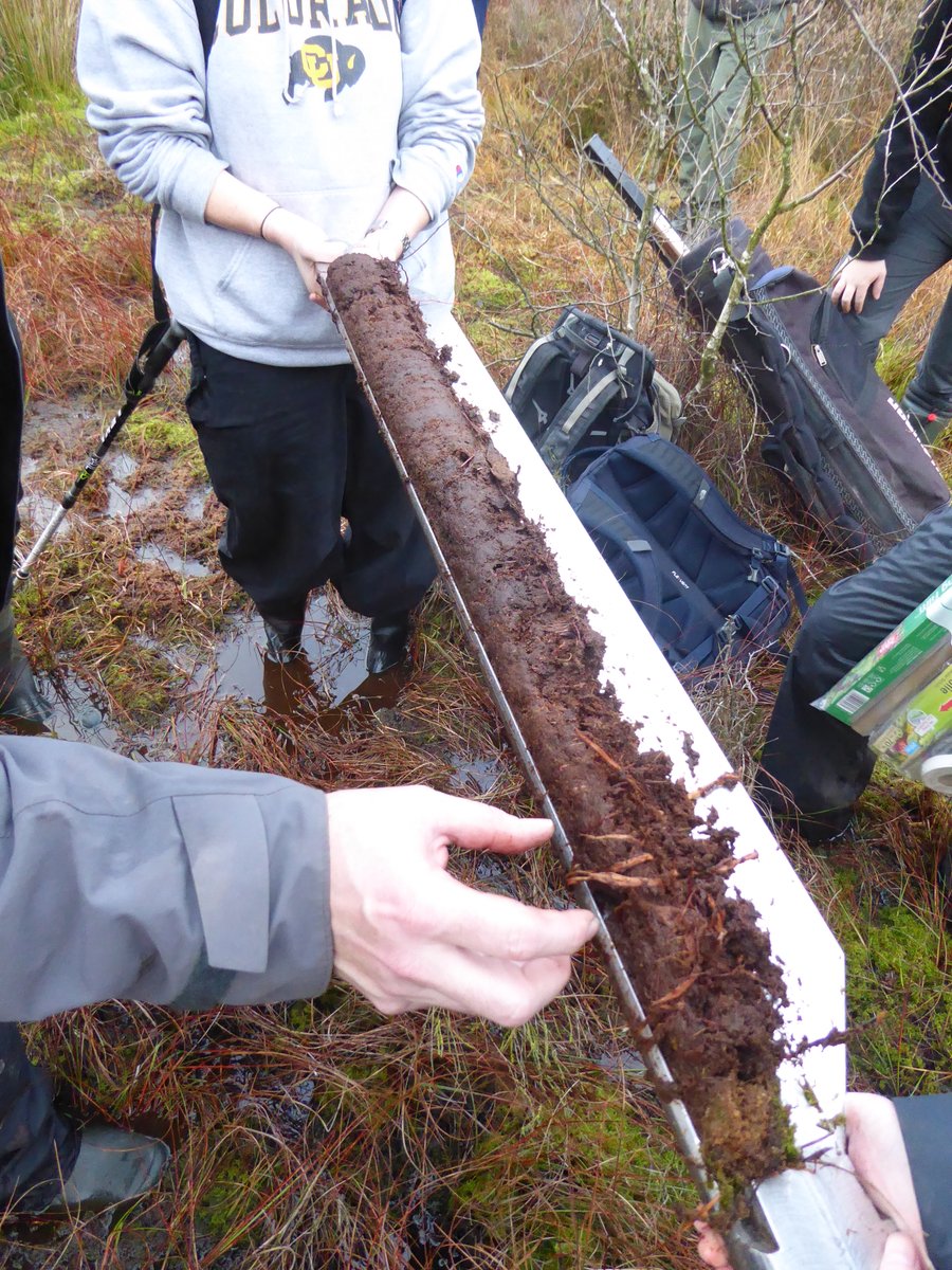 Mike Peacock (@mikepeacock86) on Twitter photo Out at Risley Moss with our <a href="/livunigeog/">livunigeog</a> MSc students today to learn about peatland restoration and biogeochemistry. Taking cores with <a href="/rchiverrell/">Rich Chiverrell</a> and water chem sampling with <a href="/LauraBaugh94/">Laura Baugh</a>. Out at Risley Moss with our <a href="/livunigeog/">livunigeog</a> MSc students today to learn about peatland restoration and biogeochemistry. Taking cores with <a href="/rchiverrell/">Rich Chiverrell</a> and water chem sampling with <a href="/LauraBaugh94/">Laura Baugh</a>.