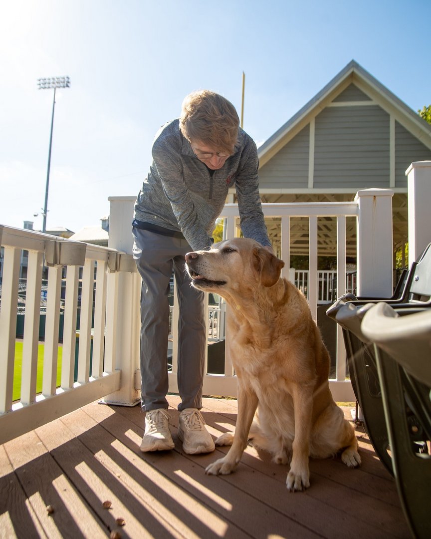 I don't ask for much... just to be pet 24/7