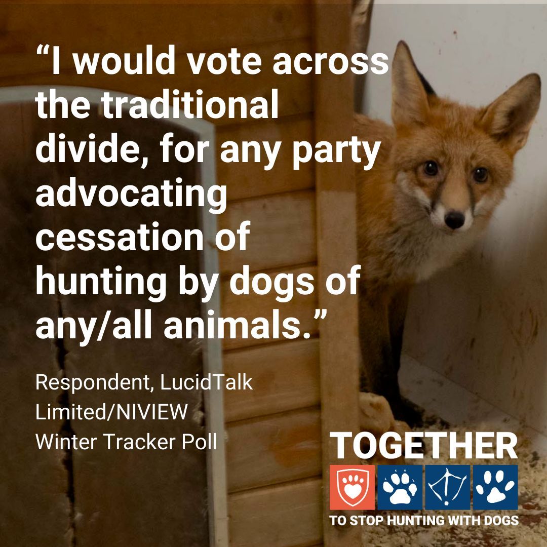 USPCA_Official's tweet image. Animal welfare is a core value for voters like this respondent in NI. 

Sign our petition and write to your MLAs to advocate for a ban on hunting with dogs in NI.👉 buff.ly/3Cf2G8J 

#EndHuntingWithDogs #USPCA #LeagueAgainstCruelSports #TimeForChange