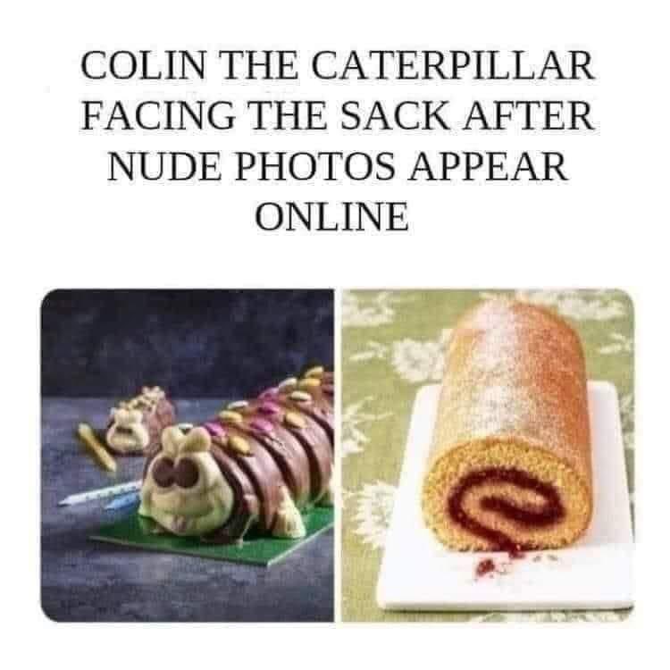 🐛🍰