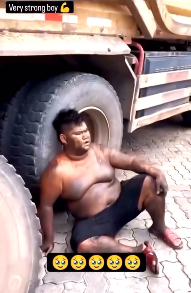 M I L A N O 🦅 tweet media