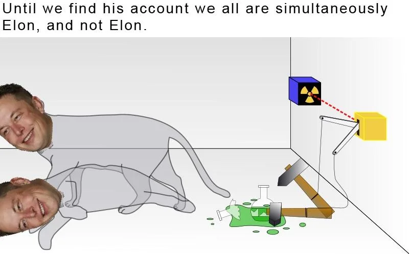$DINGER | Schrödinger tweet media