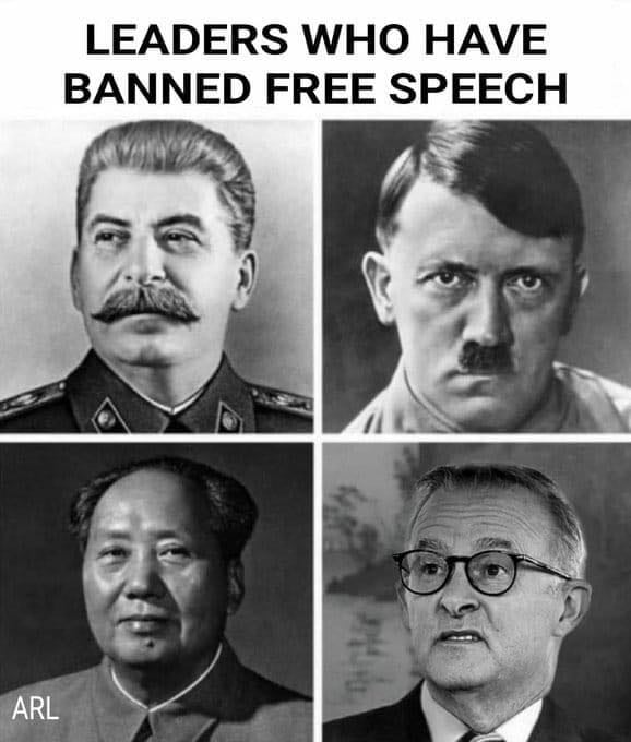 The White Rabbit Podcast 🐇 (@allbitenobark88) on Twitter photo  The White Rabbit Podcast 🐇 (@allbitenobark88) on Twitter photo