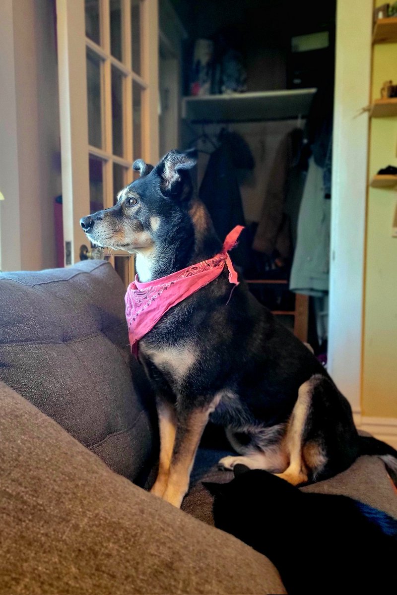 Kare Package tweet media