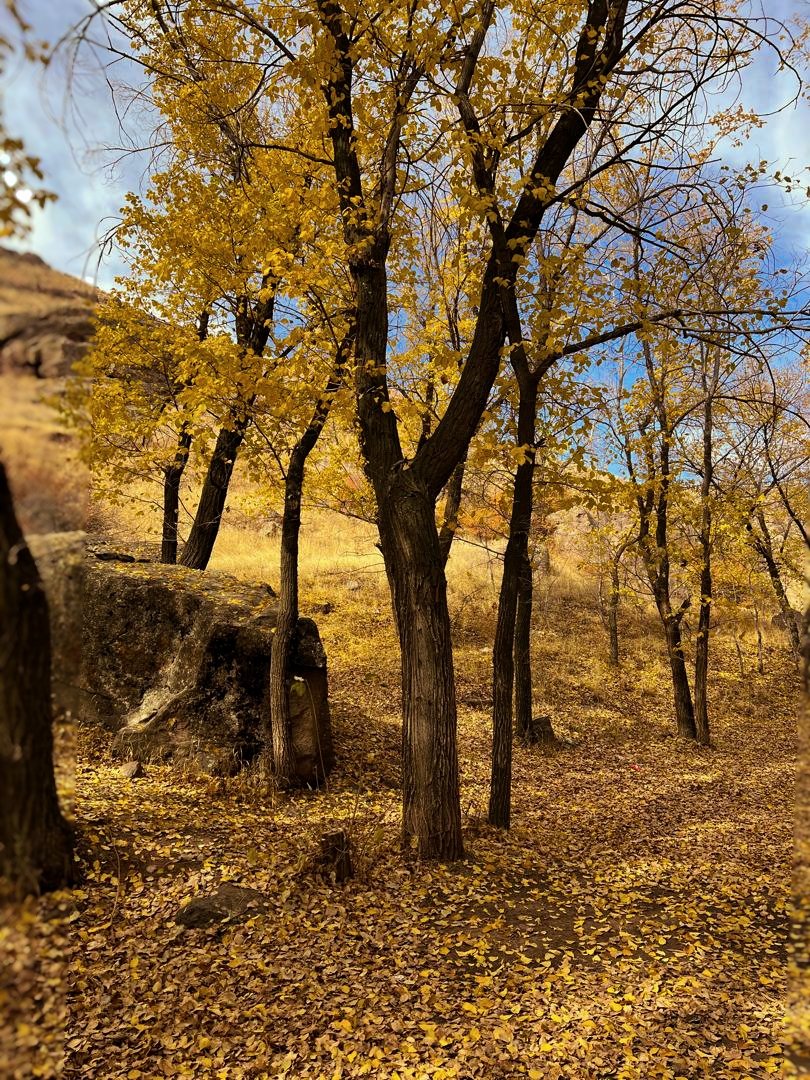 New Moment on 
<a href="/remx_xyz/">Remx</a> 🔥
.
.
Let's have some photography moments this week🥰
.
.
Earth wears autumn’s glow, wrapped in hues of fire and fading light.
#Collectiblemoment