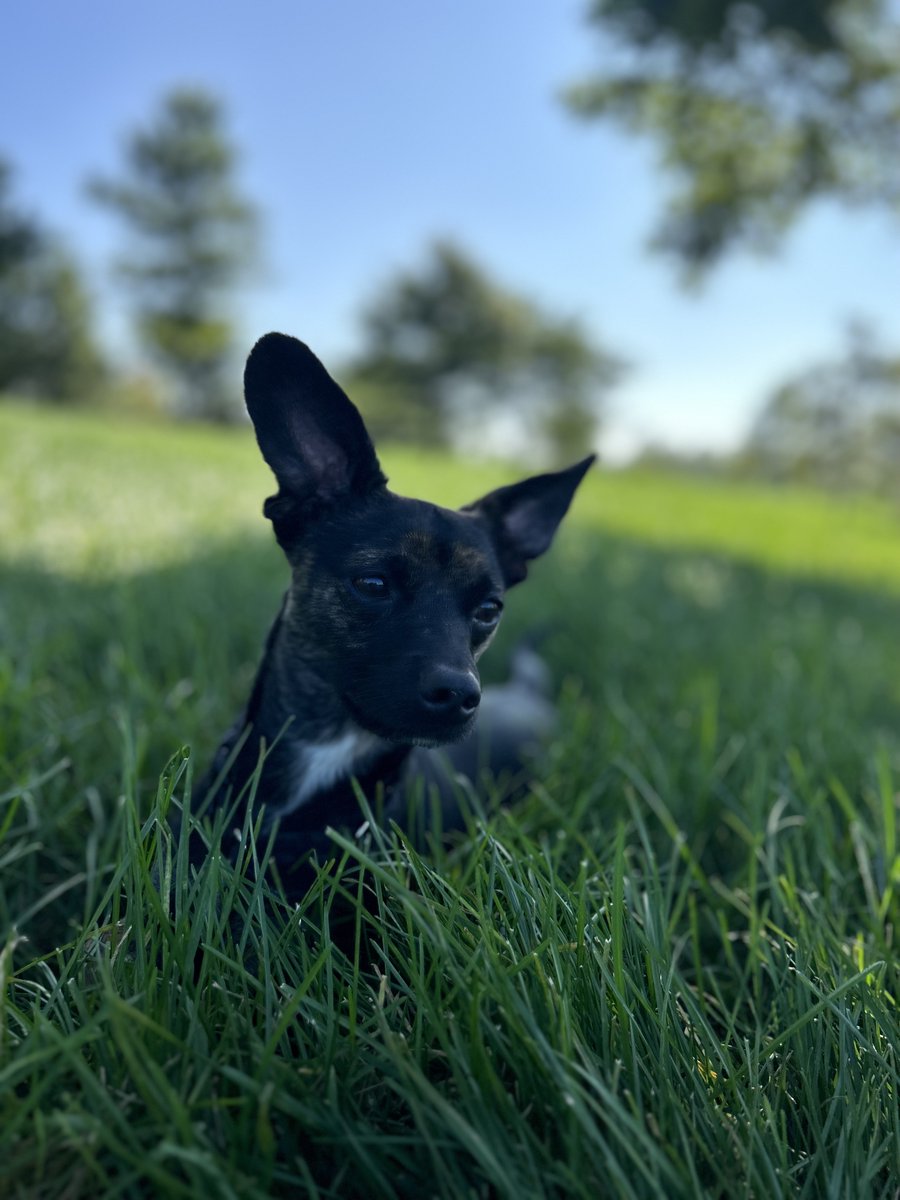 Fetch Eyewear tweet media