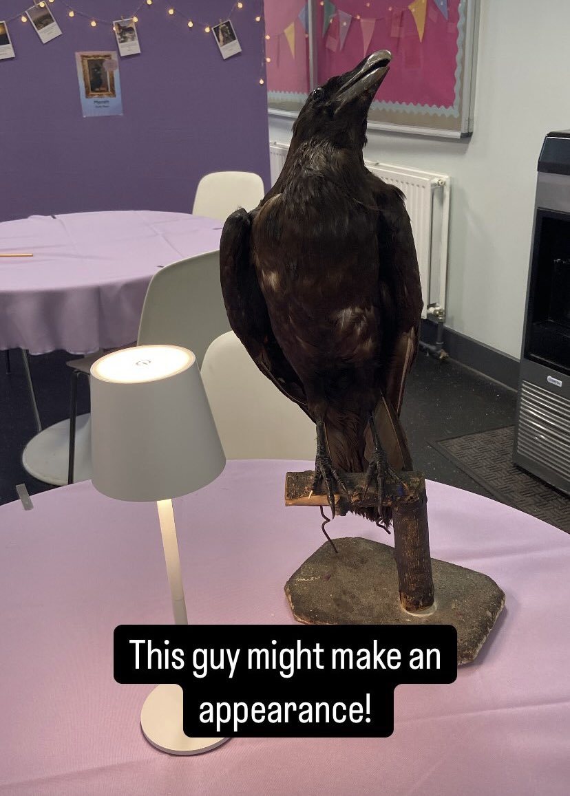 THE HUMANITIES HUB OPENS TOMORROW! 2:45pm-3:45pm. We will be open Monday and Wednesday after school 🚨

A relaxing place for Senior Phase pupils to study! If you are lucky this guy might make an appearance 🦅