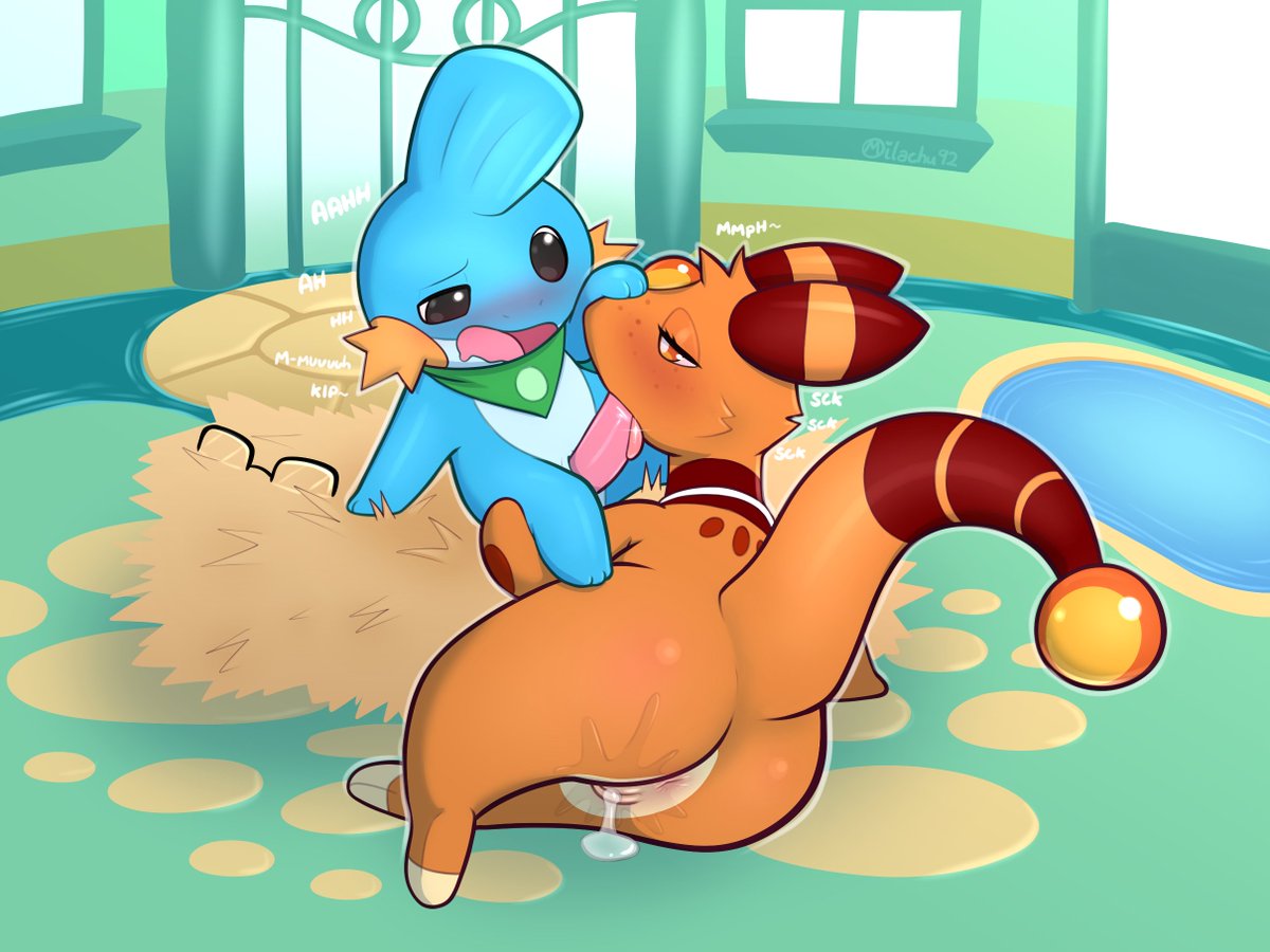 CM for Pathwarden and StormySparkler
Be sure to show your local rescue team members some appreciation! :3