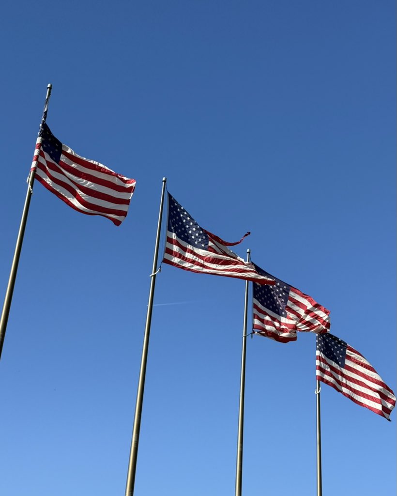 alyshea chand tweet media