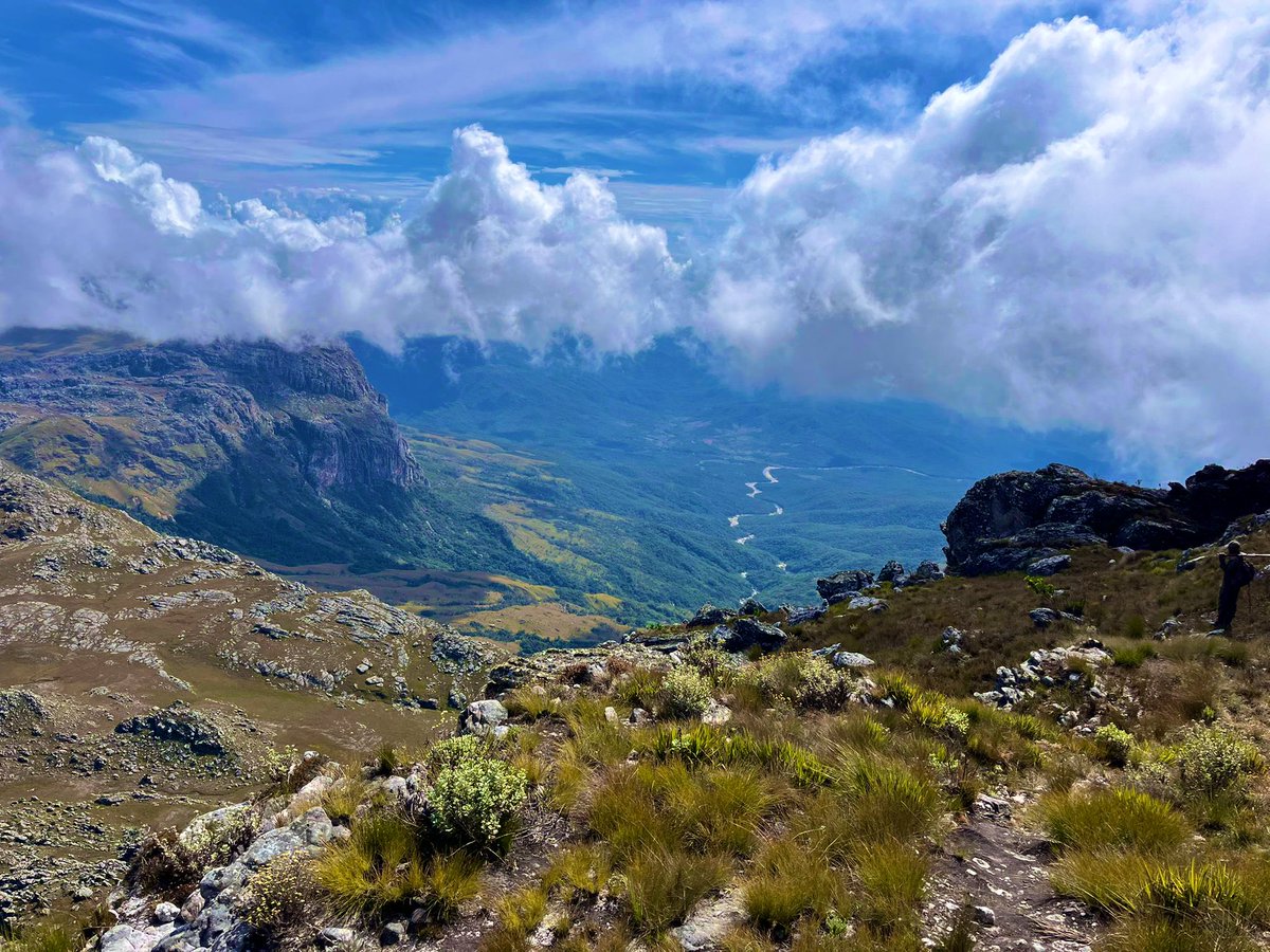 This makes me wanna organize a hiking trip to Chimanimani Mountains.

#hiking #nature #visitzimbabwe #TravelTuesday #TravelInspiration #vacationmode