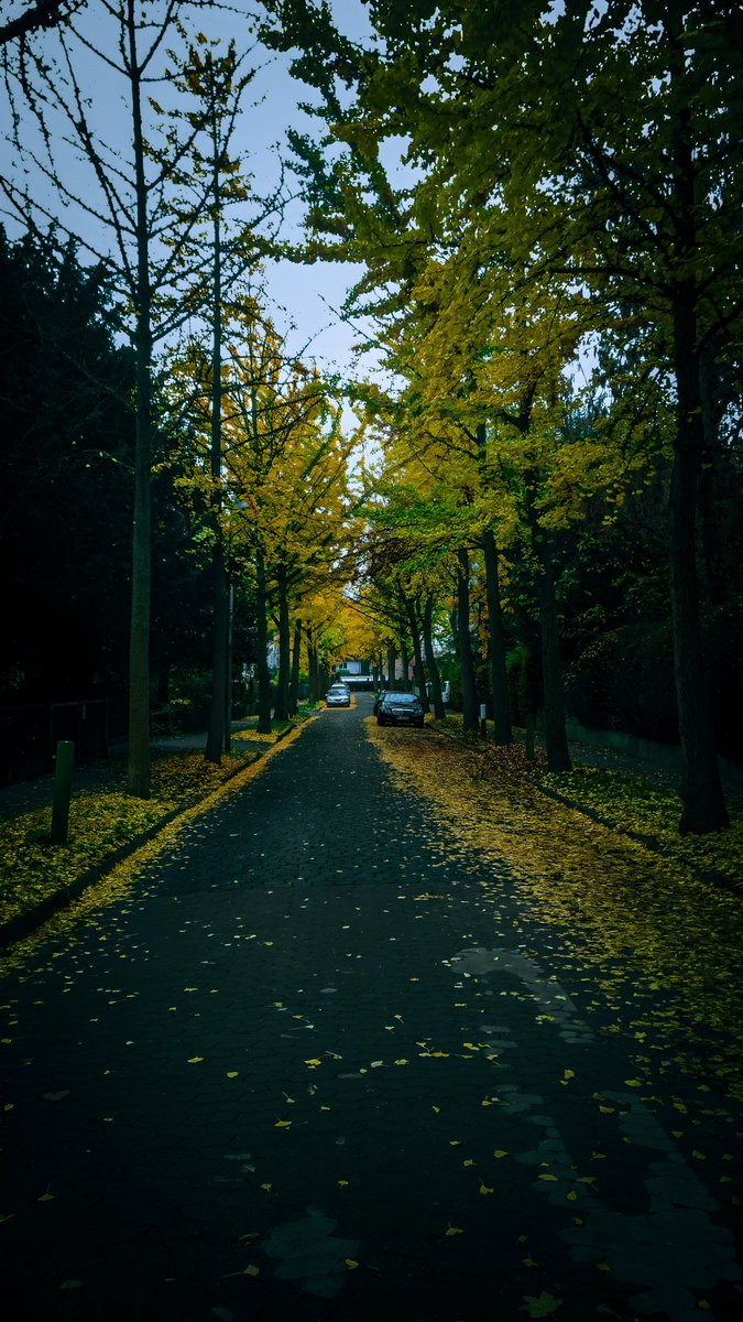 irfanRAM_'s tweet photo. https://t.co/YG5jjdFkqy