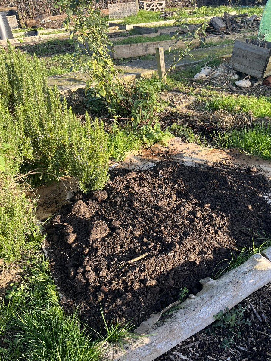 CPFT- Forensic Psychiatry Community Team tweet media