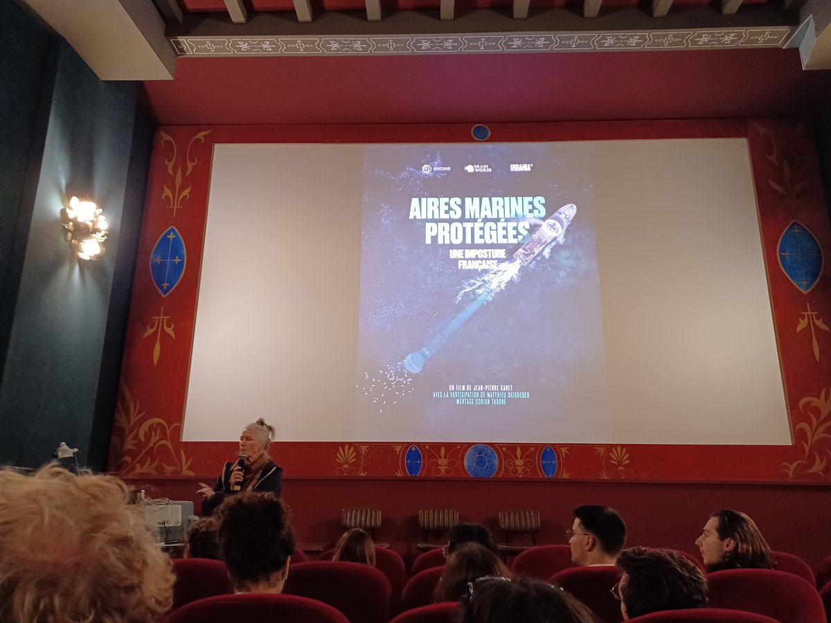 Soirée ciné-débat sur les aires marines protégées à l'Utopia #Bordeaux 🐬🦭📽