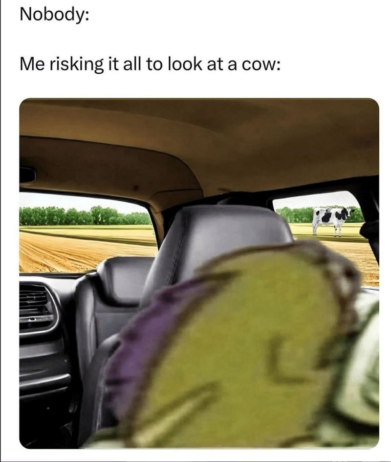 messed up cars tweet media