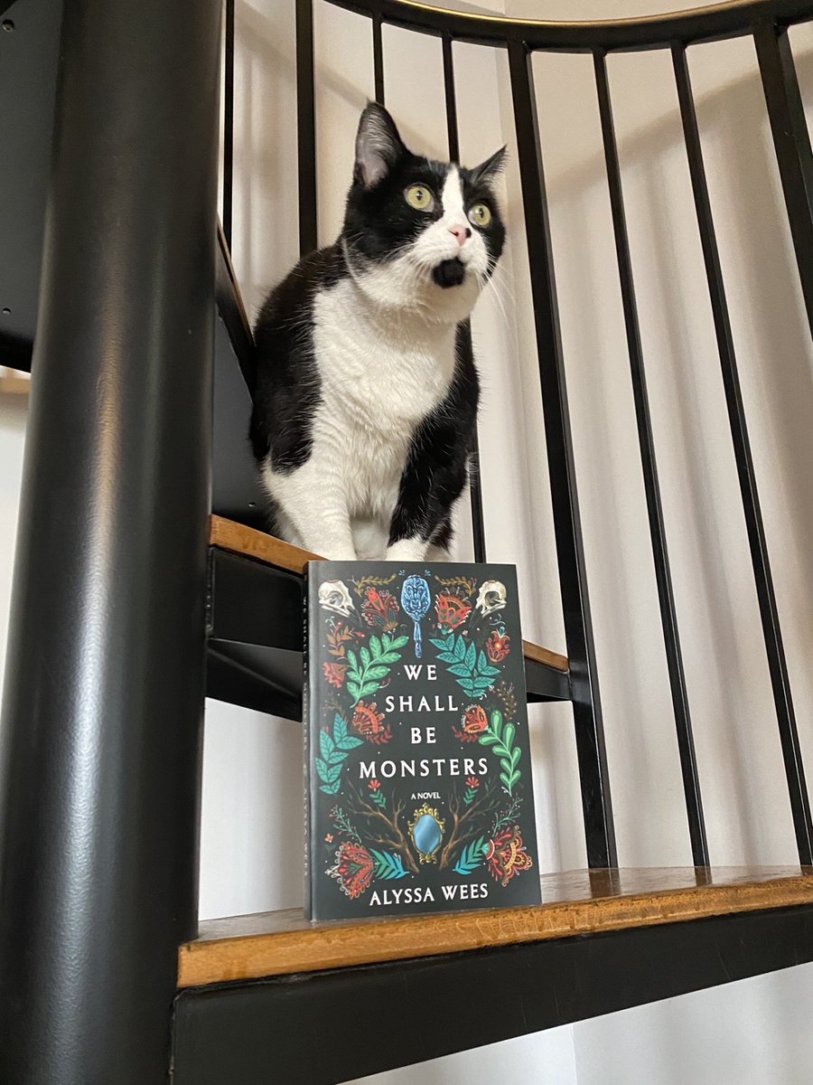 Penelope Burns (@penelopekayb) on Twitter photo WE SHALL BE MONSTERS by the incredible Alyssa Wees is out today from <a href="/DelReyBooks/">Del Rey Books</a>!! I love this book so much - and Amby does too!! WE SHALL BE MONSTERS by the incredible Alyssa Wees is out today from <a href="/DelReyBooks/">Del Rey Books</a>!! I love this book so much - and Amby does too!!