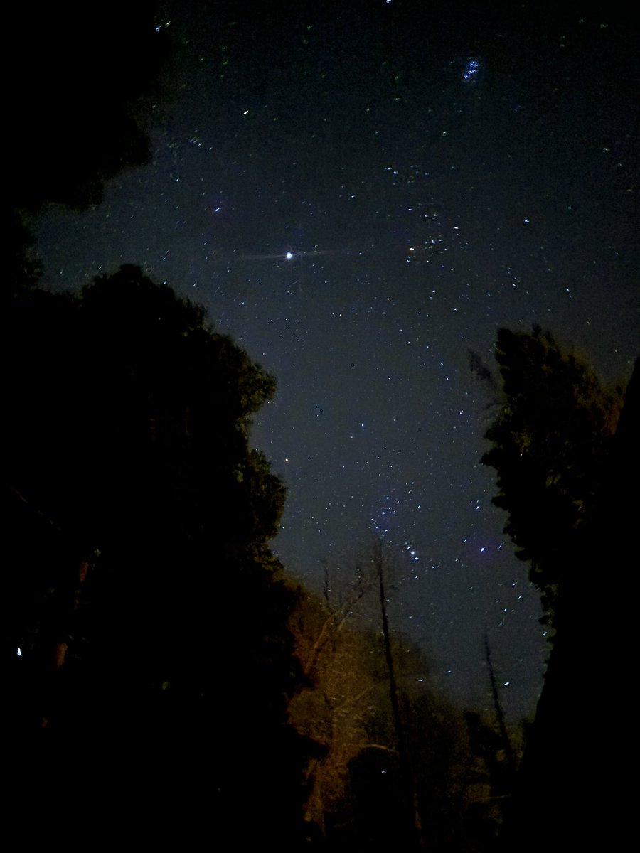 Sassy Duchi🍭 tweet media