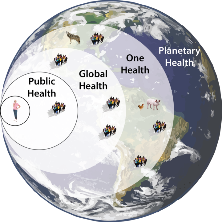 Marite Ferrada tweet media