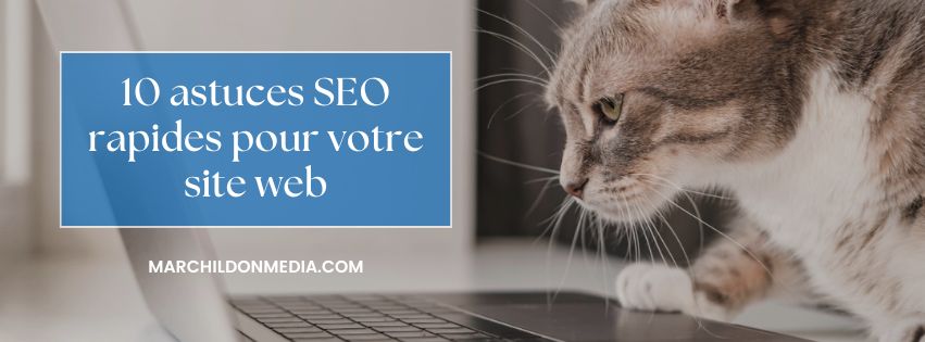 Michel Marchildon tweet media