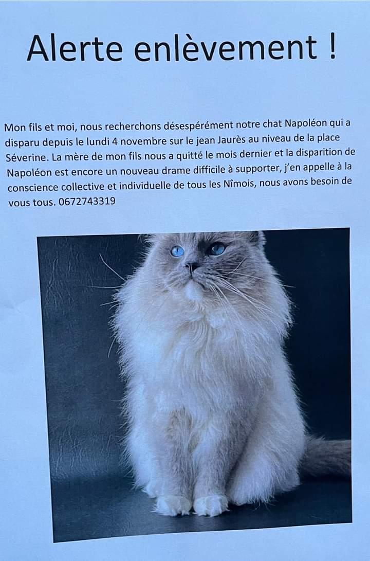 AdeaClaude's tweet photo. https://t.co/HqDhmKYlNZ