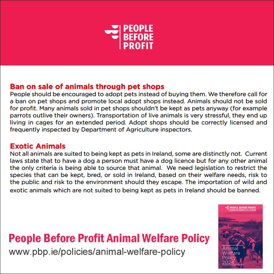 "We call for a ban on pet shops and promote local adopt shops instead. The importation of wild and exotic animals which are not suited to being kept as pets in Ireland should be banned" (People Before Profit) pbp.ie/policies/anima… #GE24 #GE2024 Support <a href="/pb4p/">People Before Profit</a> candidates