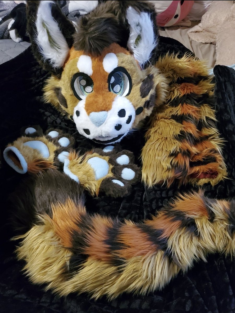 lapishire (@lapishire) on Twitter photo Hatchet and his fursuit is back up for sale! He is a partial.
This suit and design is made by <a href="/KabberCreations/">Kabber Creations - fursuit maker</a>
810 USD + shipping
Info in thread v
#fursuitforsale #fursuitsale #fursuit Hatchet and his fursuit is back up for sale! He is a partial.
This suit and design is made by <a href="/KabberCreations/">Kabber Creations - fursuit maker</a>
810 USD + shipping
Info in thread v
#fursuitforsale #fursuitsale #fursuit