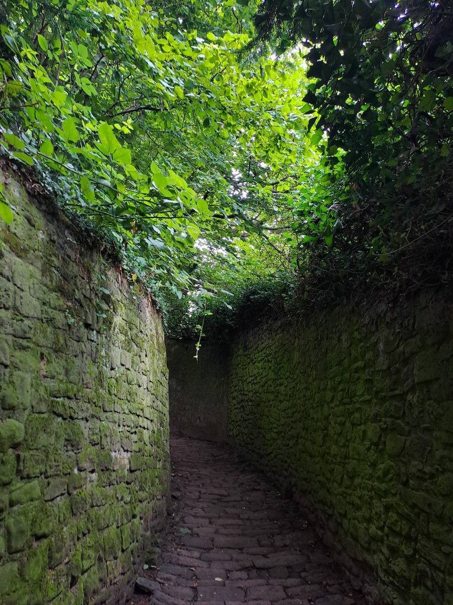 Philosophenweg, Heidelberg, Almanya