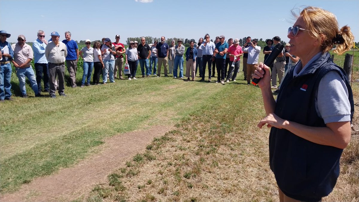 En nuestra Estación Experimental <a href="/IntaPergamino/">INTA Pergamino</a> realizamos la Jornada de Ensayos de Larga Duración, en la que productores, profesionales y público en general recorrieron ensayos de diferente duración y realizaron consultas a los investigadores involucrados.