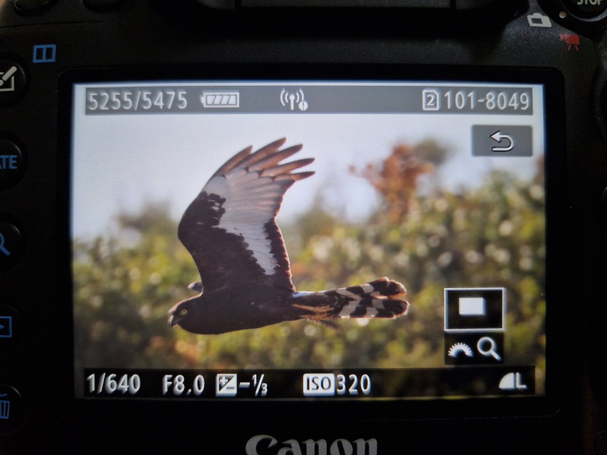 Shaun Ferguson 🇿🇦🇬🇧🏴󠁧󠁢󠁳󠁣󠁴󠁿 tweet media