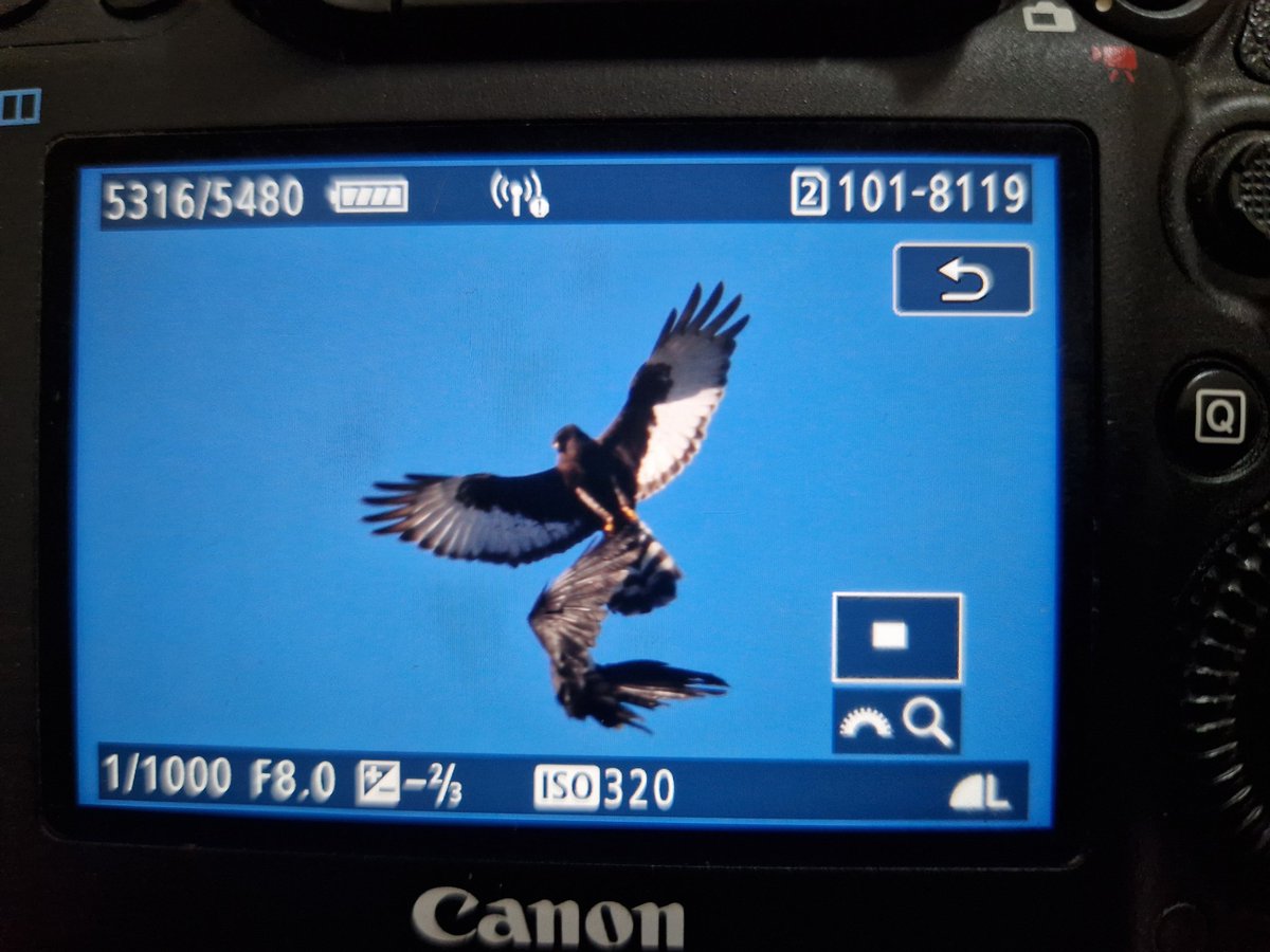 Shaun Ferguson 🇿🇦🇬🇧🏴󠁧󠁢󠁳󠁣󠁴󠁿 tweet media