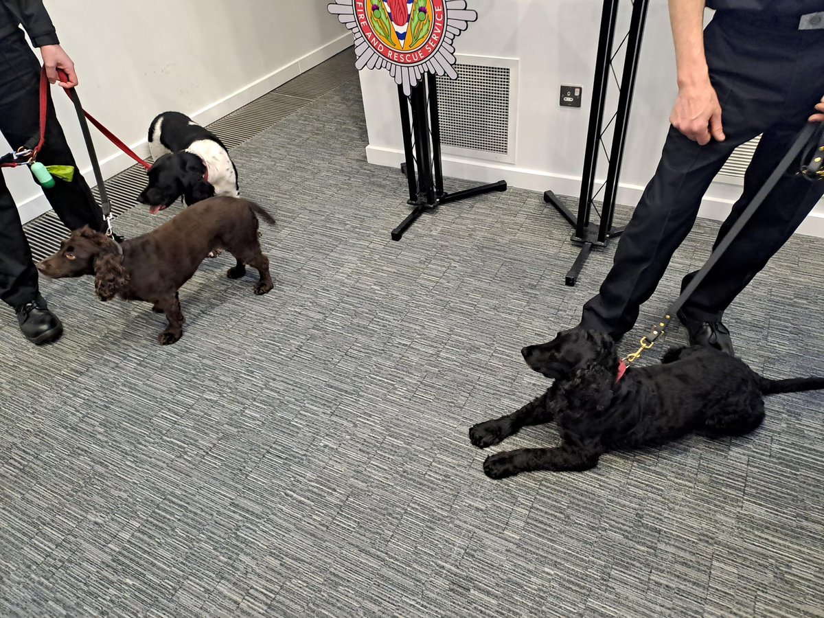 Today <a href="/fire_scot/">Scottish Fire and Rescue Service</a> protection staff attended a development day at HQ. Thank you to all who attended and provided excellent input on Health and Wellbeing, Fire Safety and Engineering and Fire Investigation Search Dogs!🔥 🔥 🚒 🚒 🐶 🐶  <a href="/chrisgetty14/">Chris Getty</a>