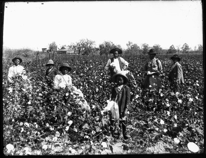 ChikeNzewi's tweet photo. @FinPlanKaluAja1 The people who ACTUALLY built America. Including the White House itself. 

A couple of rich white men didn't build anything, any more than British colonial administrators built YOUR country, Nigeria.

You of all people should know that. https://t.co/WxI4tsiRZ3