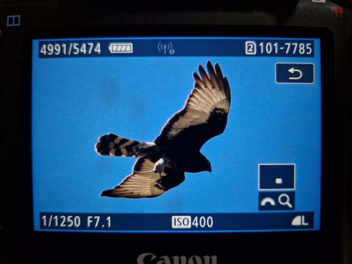 Shaun Ferguson 🇿🇦🇬🇧🏴󠁧󠁢󠁳󠁣󠁴󠁿 tweet media