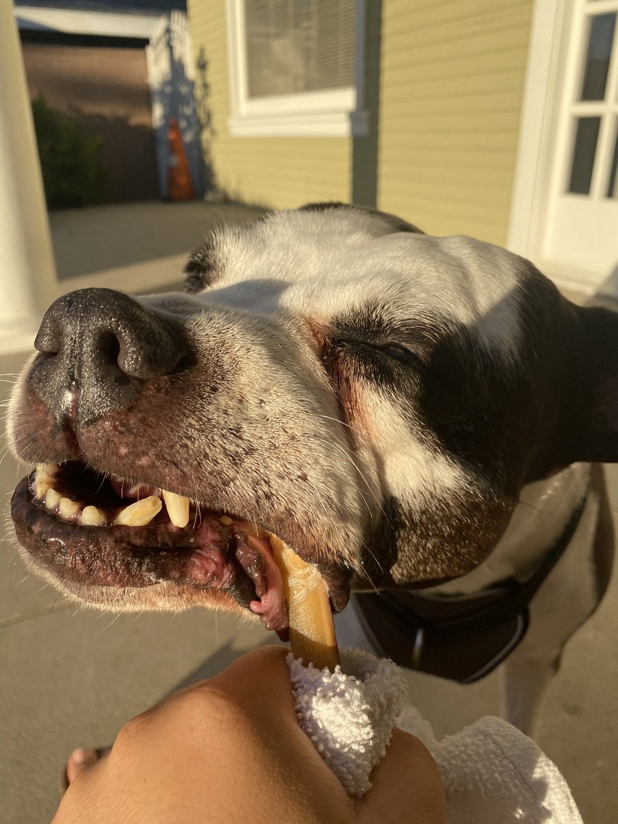 Irene 👹 tweet media