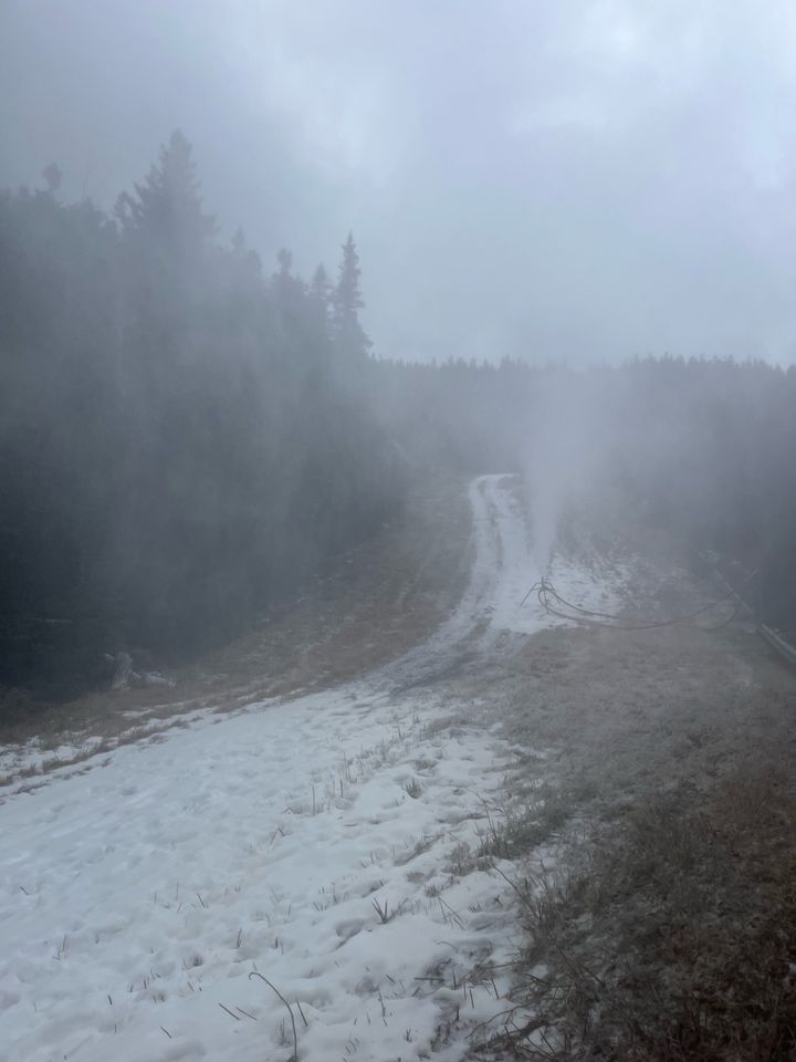 Wildcat Mountain tweet media