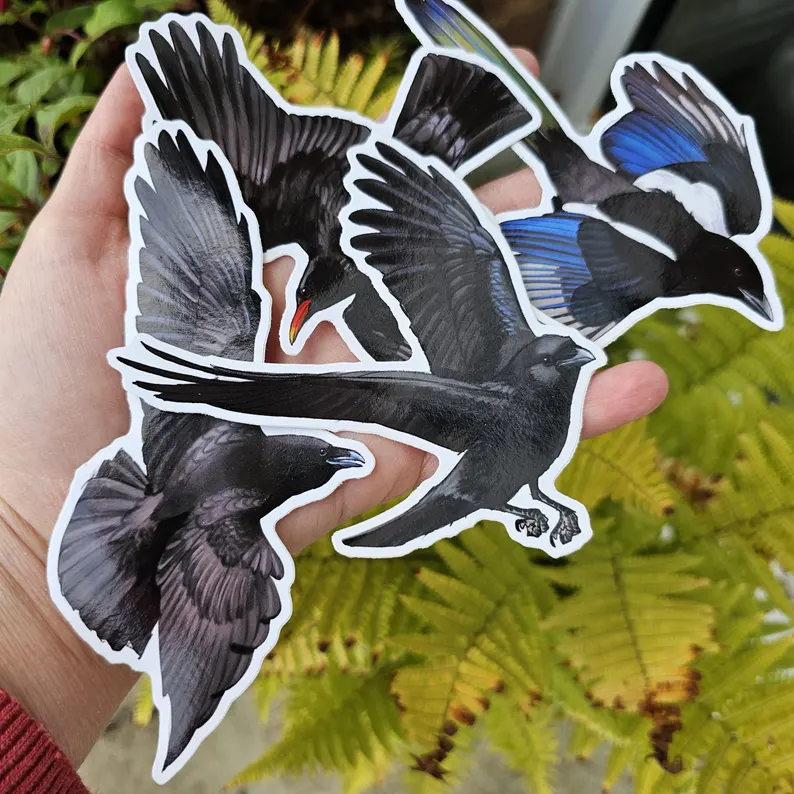 🦤 Crow Artist 🐦‍⬛🐦‍⬛🐦‍⬛🐦‍⬛🐦‍⬛🐦‍⬛🐦‍⬛🐦‍⬛🪺 tweet media