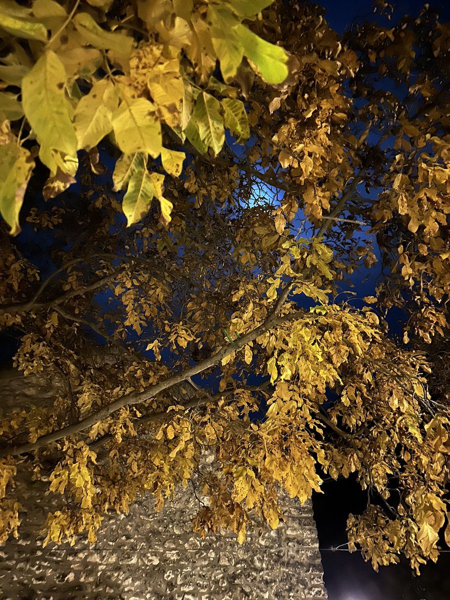jrambaud's tweet photo. Noches de #otoño #Pontones #Jaen #Jaenparaisointerior https://t.co/FxAvd1rbOl