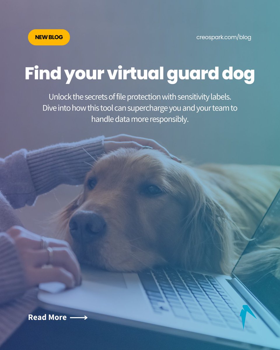 creospark's tweet photo. How can sensitivity labels help protect your data?

Gain insight into how you can classify and protect your information across Microsoft platforms in our most recent blog.

🔗 https://t.co/XgLLBdHHj4 https://t.co/8EXYVlvffA