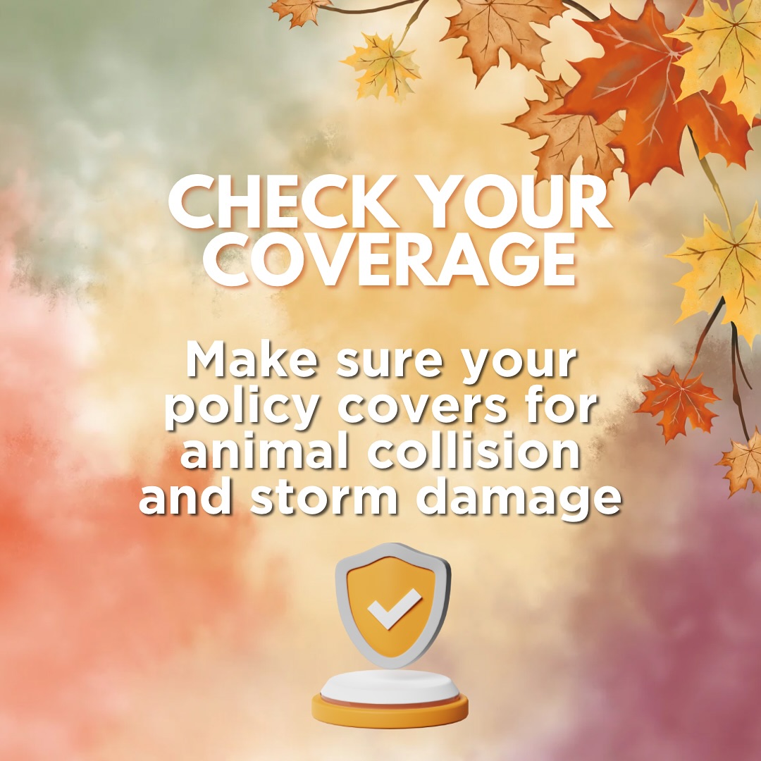 Chile10's tweet image. Auto Insurance Tips:
Tips to help your stay safe this fall. #carinsurance #ProtectionMattersAgency #insurance #Allstate #staysafe 

Call/Text 425-337-7151
email: mtullius@allstate.com