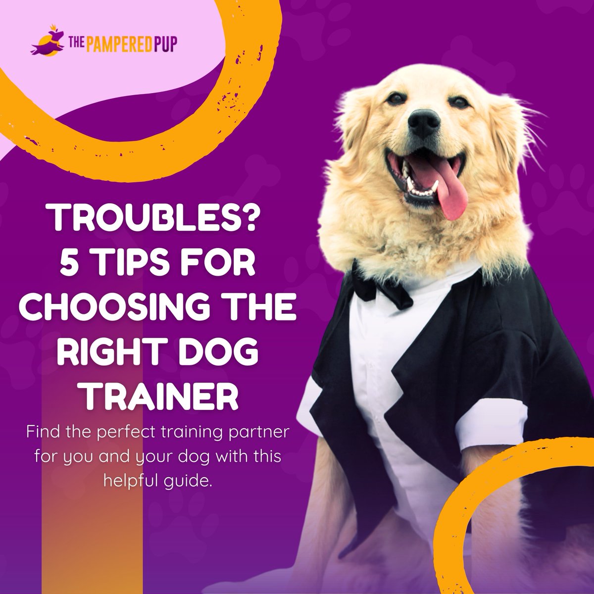 PupPampered's tweet image. 🐾 Searching for the perfect dog trainer but feeling like you&apos;re barking up the wrong tree? Don&apos;t worry, pet parents - The Pampered Pup&apos;s got your tail covered! Here are our top 5 tips to find your pup&apos;s perfect match. No dating apps required! 🐕🌳 #dogtraining #pawfectmatch