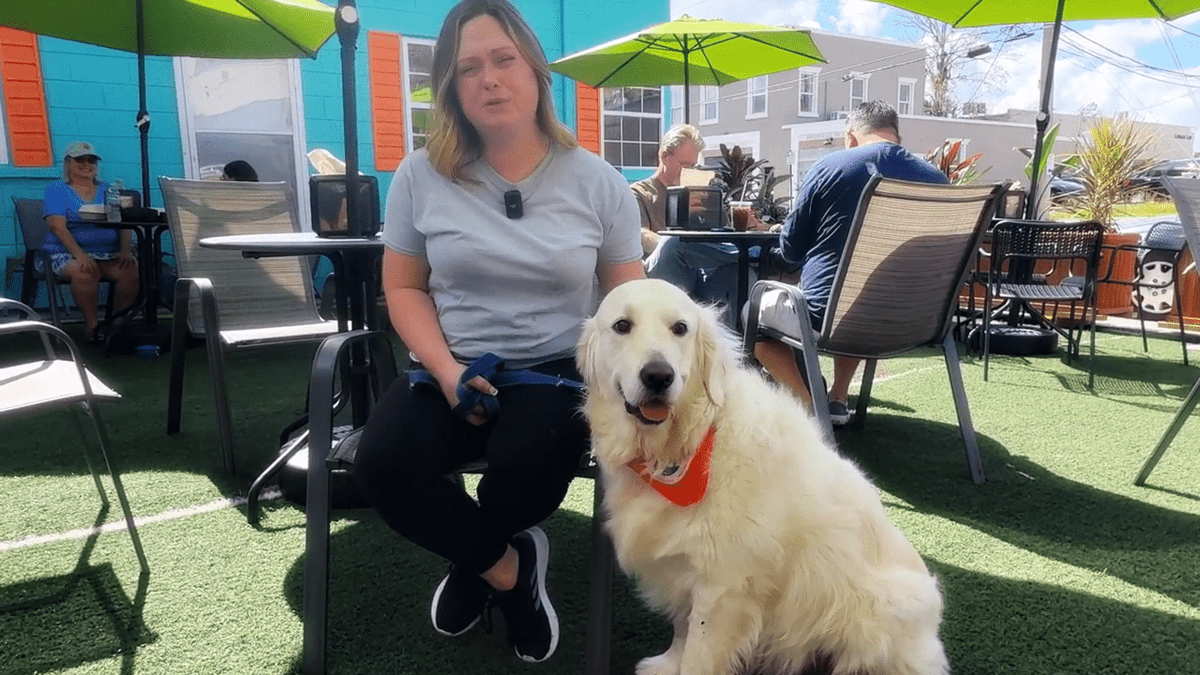 NatureCoaster.com tweet media