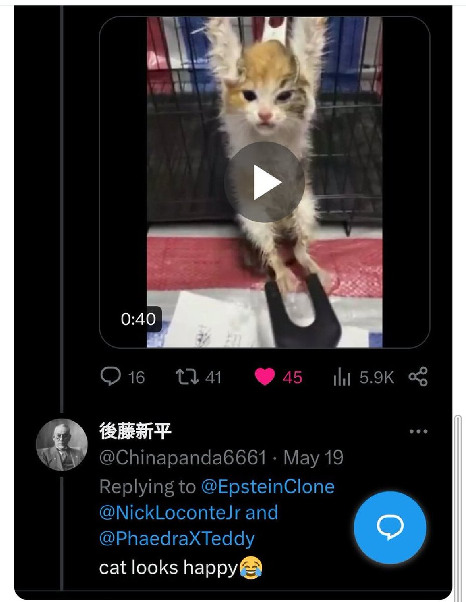 PhaedraXTeddy's tweet image. #China tells us every day who they are. Believe them! Until the Chinese government enacts #AnimalProtectionLaws, #China lags behind the rest of the world.
@AmbXieFeng 🆘️