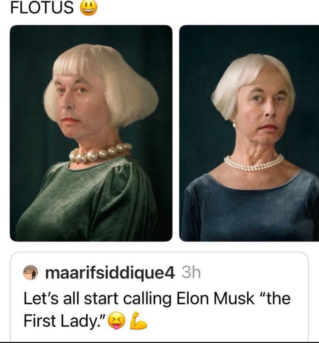 jablackswan's tweet photo. @elonmusk #firstlady https://t.co/FsmMn9lYnm