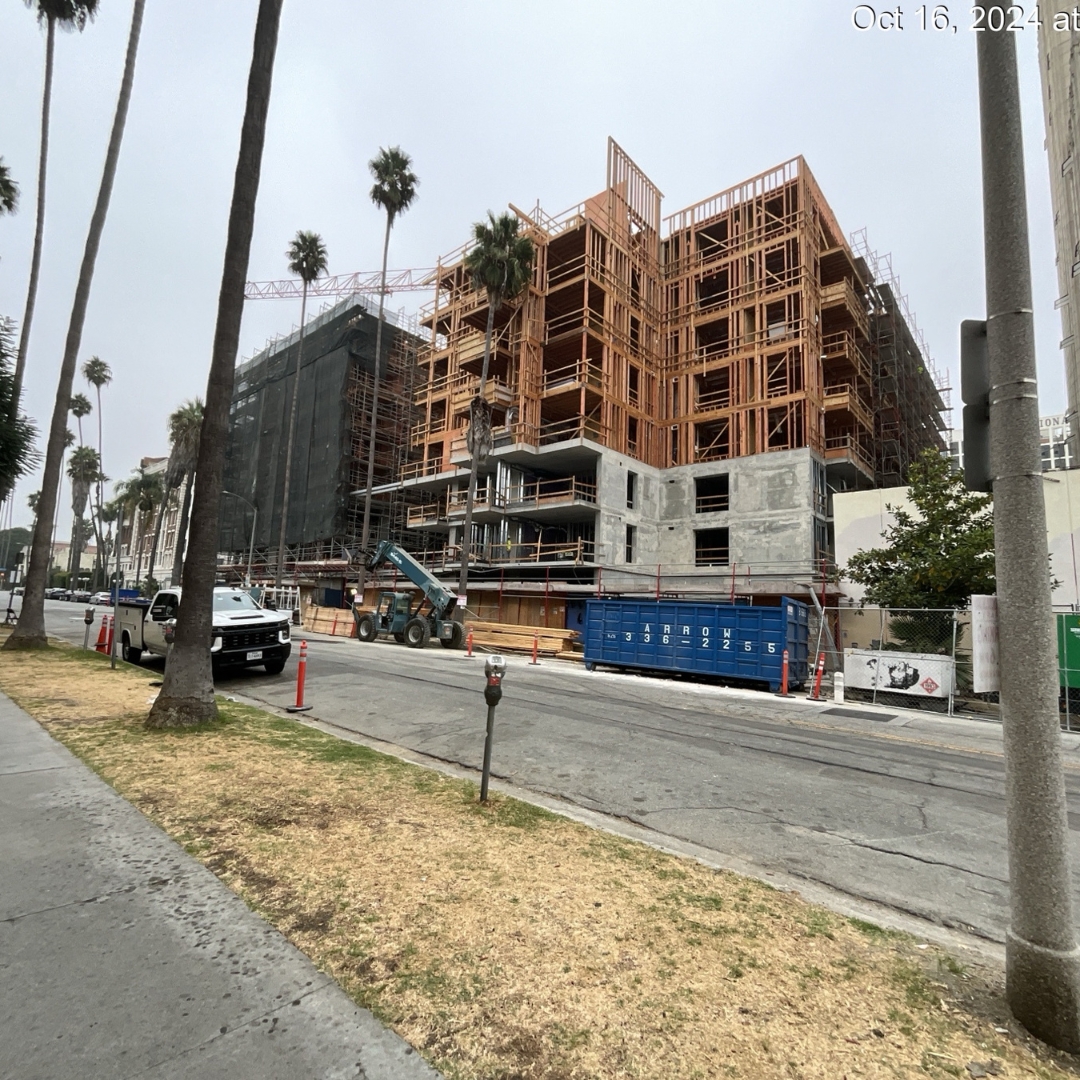 MVE Architects tweet media