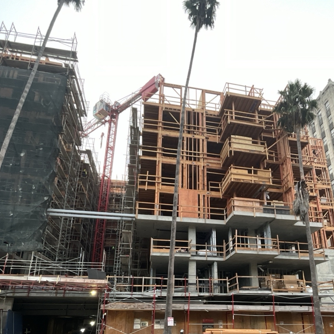 MVE Architects tweet media